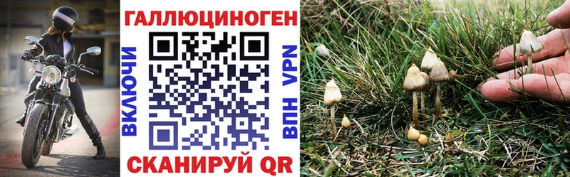Псилоцибиновые грибы мухоморы kraken вход Надым