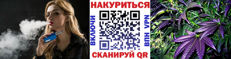 Каннабис OG Kush Надым